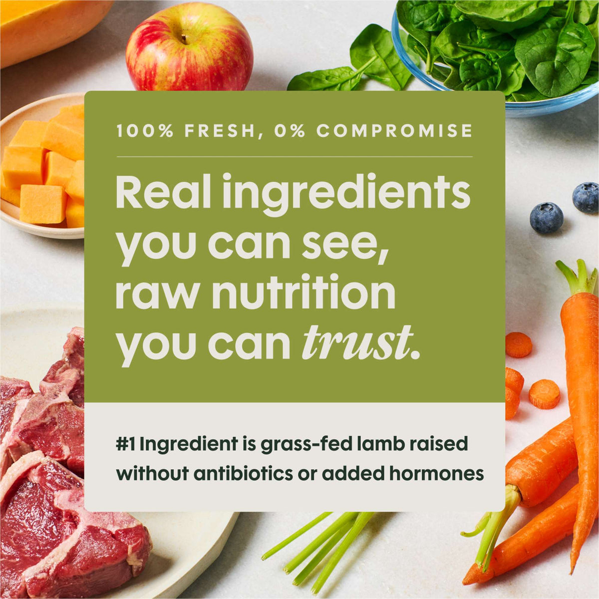 Instinct FreshRaw Meals Grass-Fed Lamb Frozen Raw Dog Food