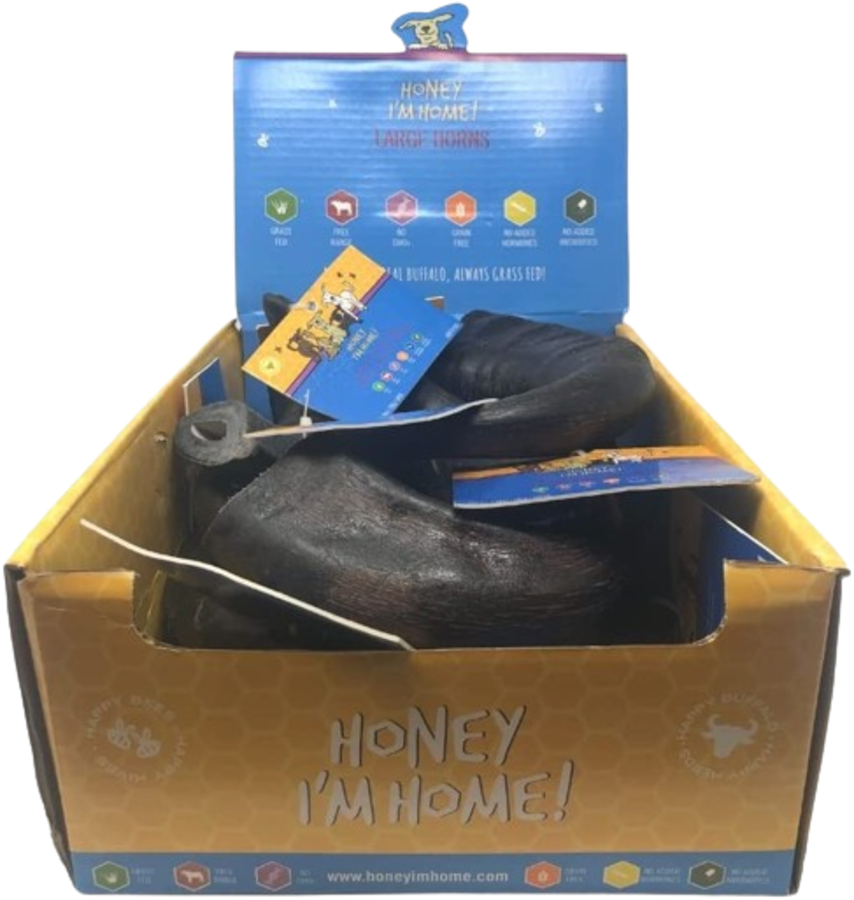 Honey I&#39;m Home! Water Buffalo Horn Dog Chew