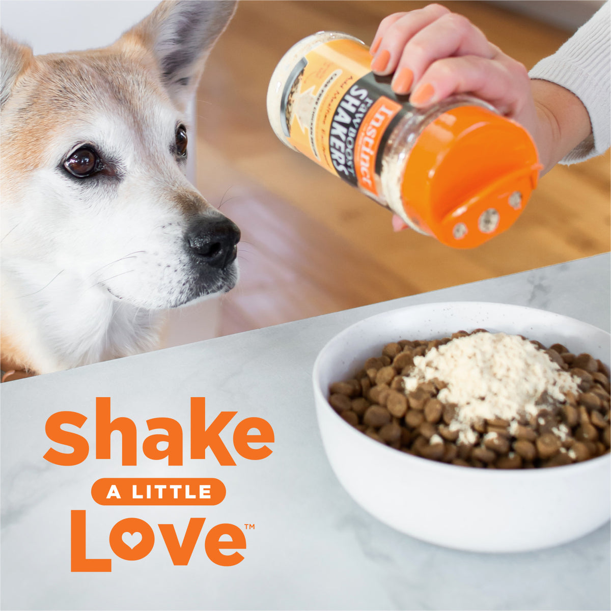 Instinct Freeze-Dried Raw Boost Shakers Grain-Free Gut Health Recipe Dog Food Topper