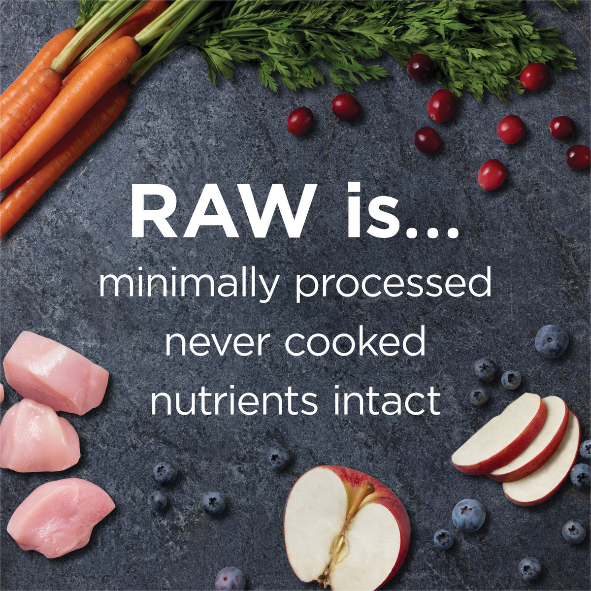 Instinct Raw Boost Grain-Free Recipe with Real Chicken Dry Dog Food