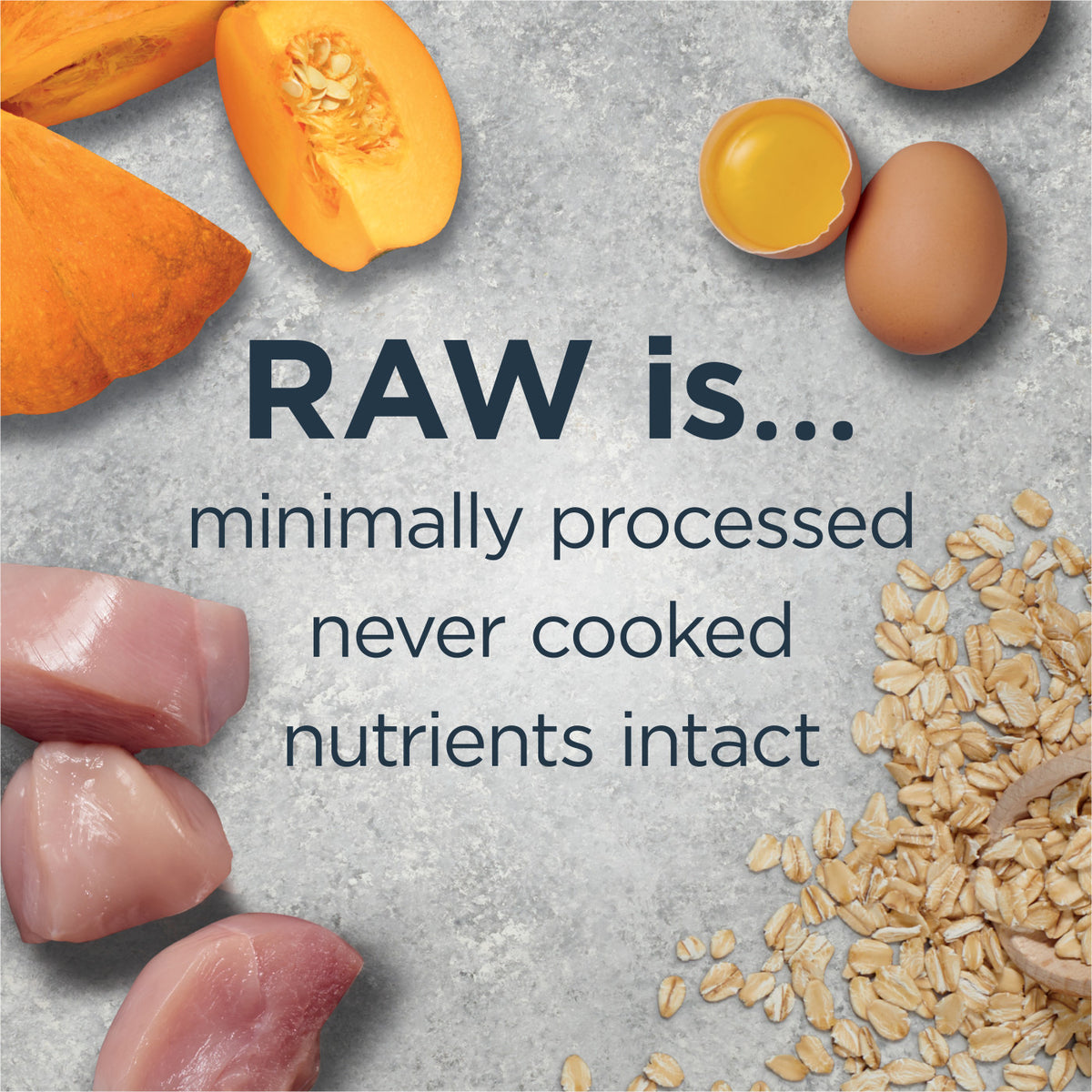 Instinct Raw Boost Whole Grain Gut Health Recipe with Real Chicken Dry Dog Food