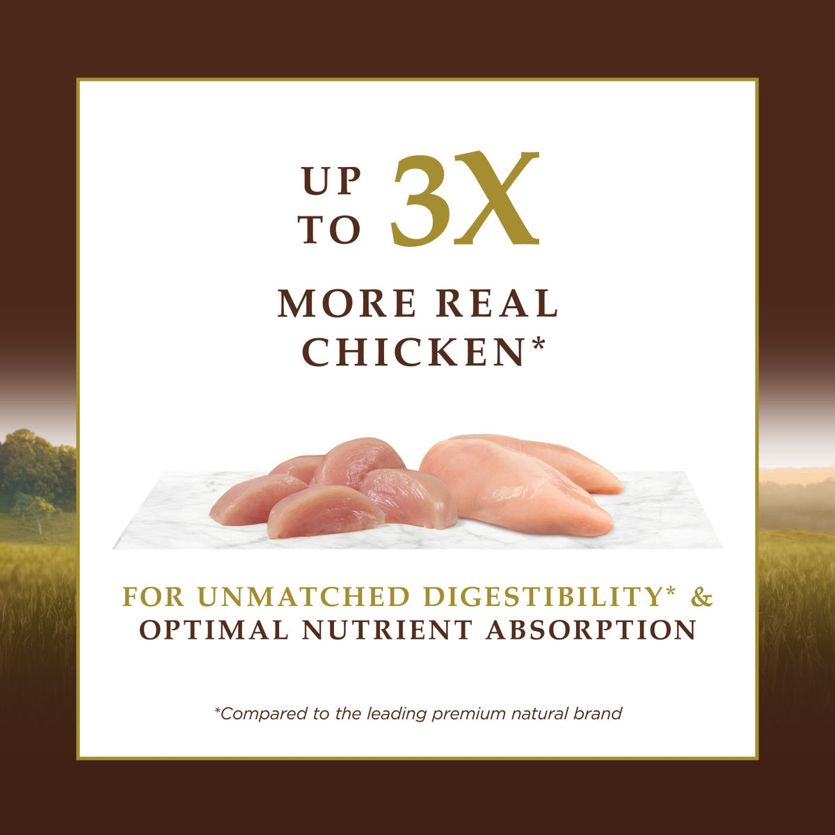 Instinct Ultimate Protein Grain-Free Cage-Free Chicken Recipe Dry Cat Food