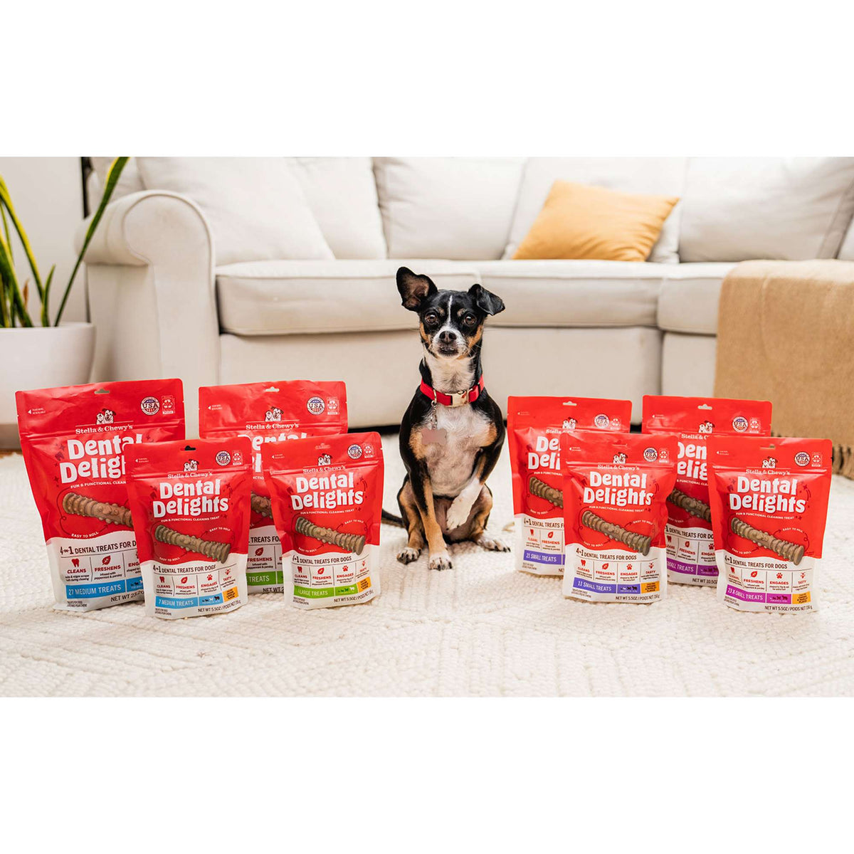 Stella &amp; Chewy&#39;s Dental Delights Small Dog Chews