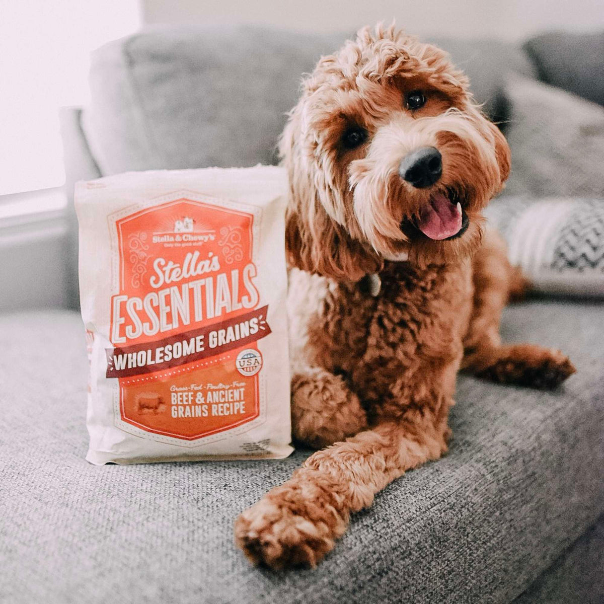 Stella &amp; Chewy&#39;s Stella&#39;s Essentials Beef &amp; Ancient Grains Dog Food