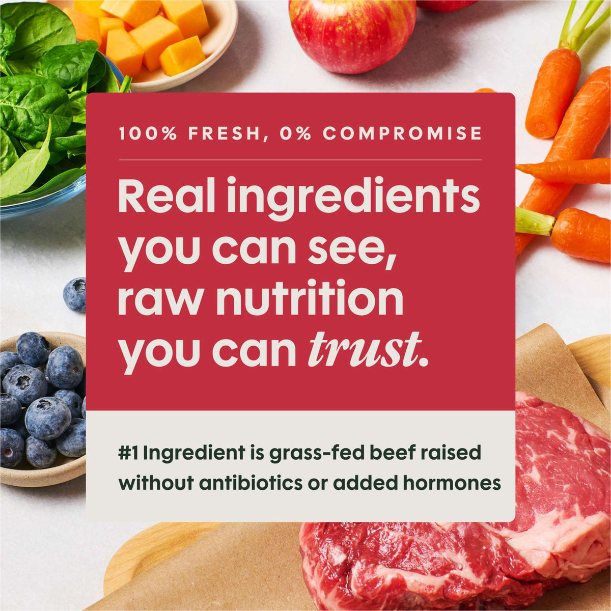 Instinct FreshRaw Meals Grass-Fed Beef Frozen Raw Dog Food