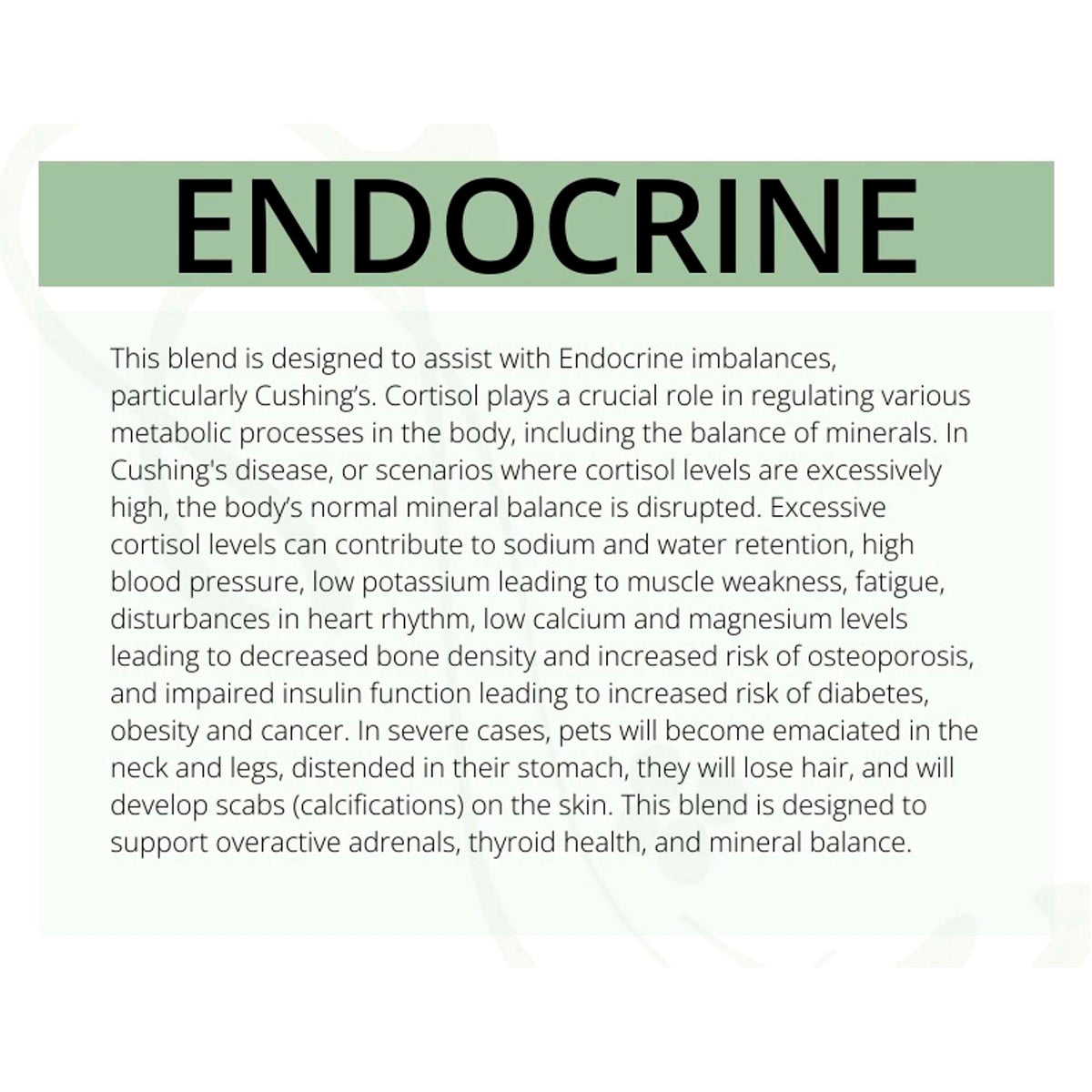 Solutions Pet Products Endocrine Supplement for Dogs and Cats
