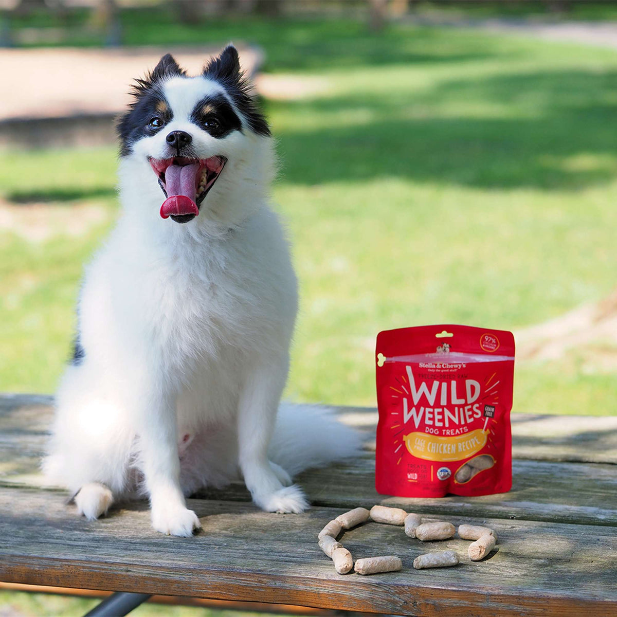 Stella &amp; Chewy&#39;s Freeze-Dried Raw Wild Weenies Chicken Dog Treats