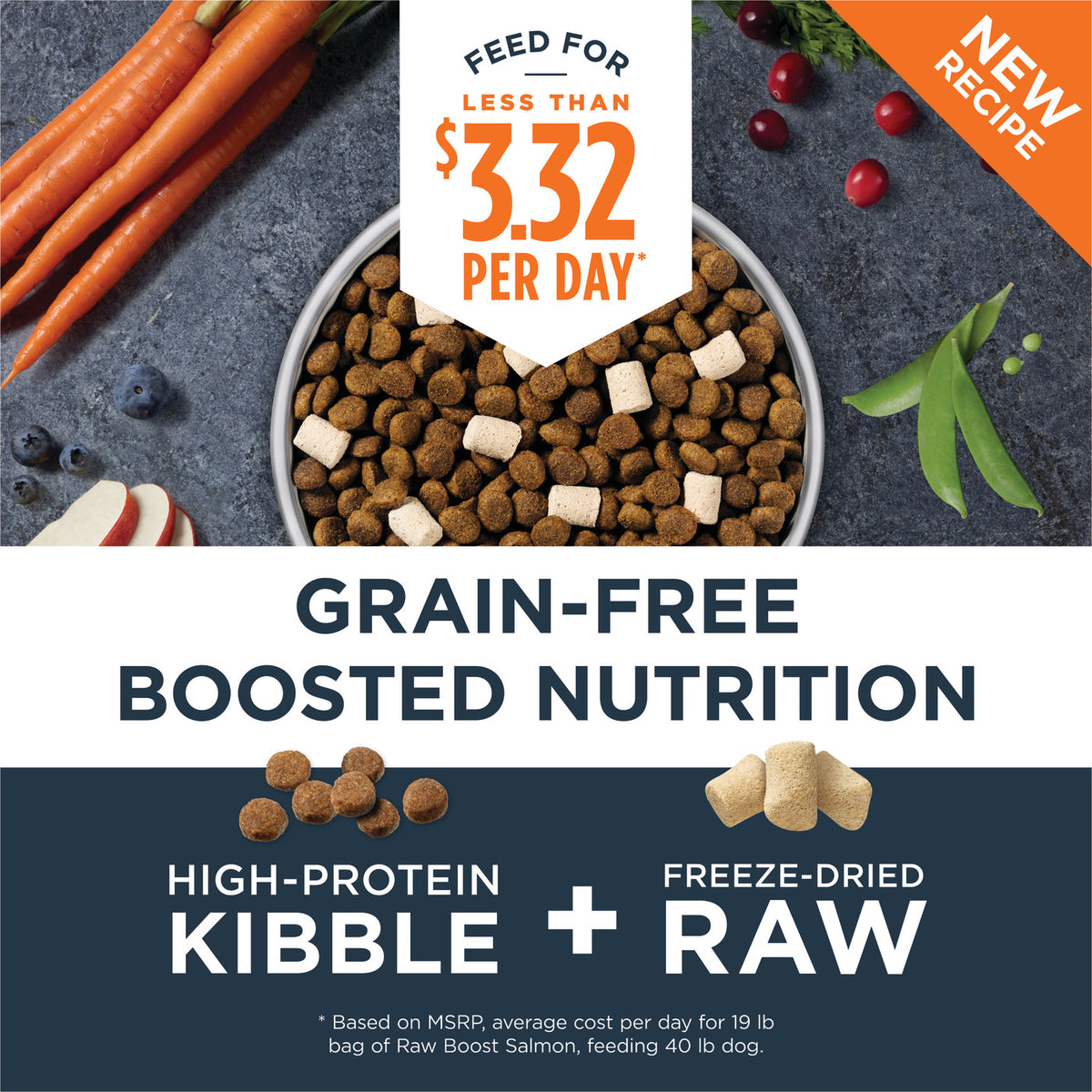 Instinct Raw Boost Grain-Free Recipe with Real Salmon Dry Dog Food