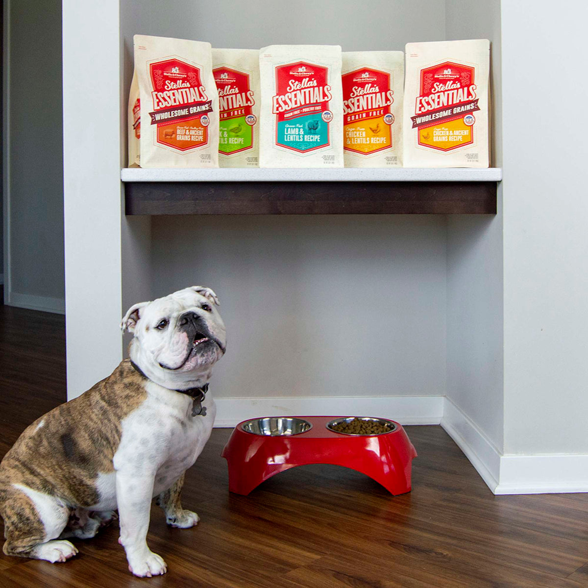 Stella &amp; Chewy&#39;s Stella&#39;s Essentials Chicken &amp; Ancient Grains Dog Food
