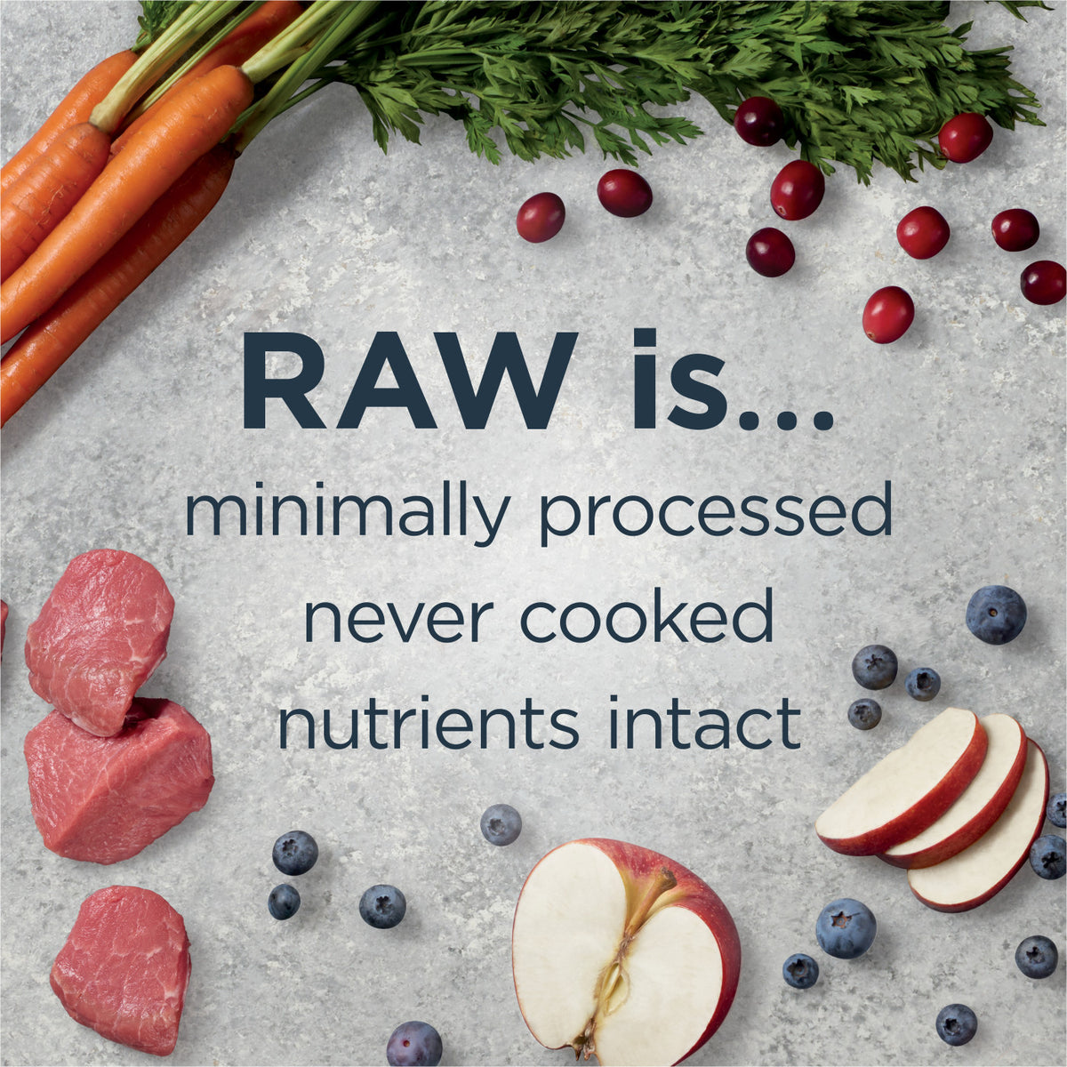 Instinct Raw Boost Whole Grain Real Salmon &amp; Brown Rice Recipe Dry Dog Food