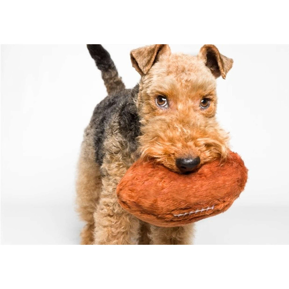 Fluff &amp; Tuff Football Dog Toy