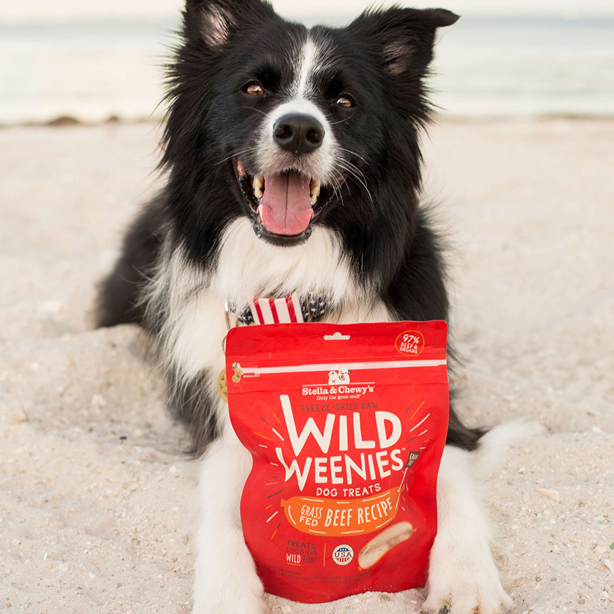 Stella &amp; Chewy&#39;s Freeze-Dried Raw Wild Weenies Beef Dog Treats