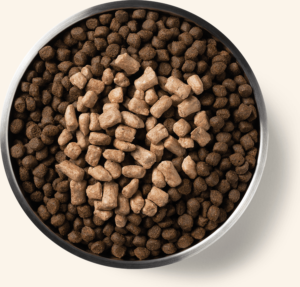 Vital Essentials Freeze-Dried Raw Protein Mix-In Duck Dog Meal Topper