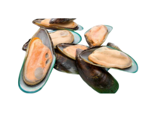 Rawr Frozen Raw Green Lipped Mussels for Dogs & Cats