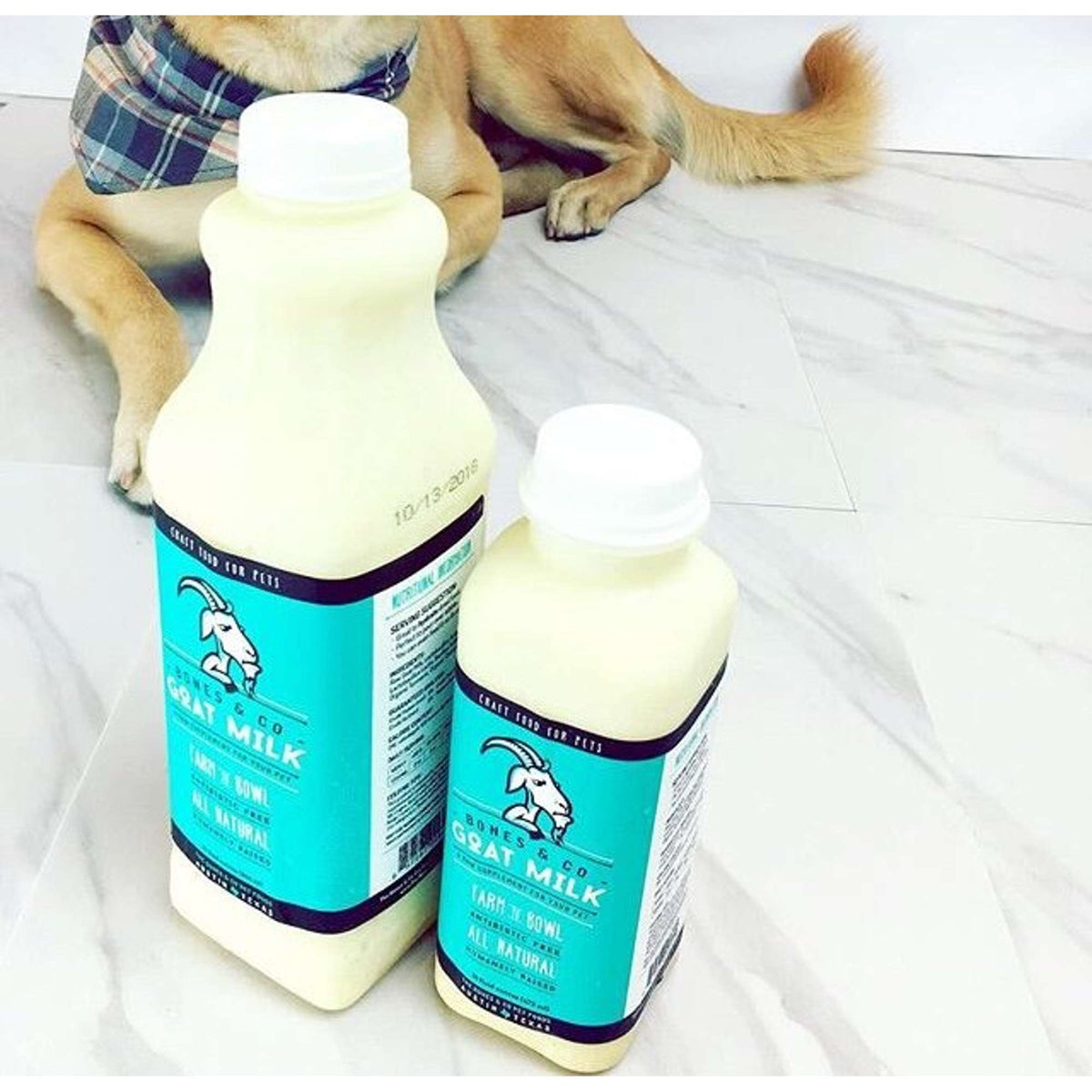 The Bones &amp; Co Frozen Raw Goat Milk for Dogs &amp; Cats