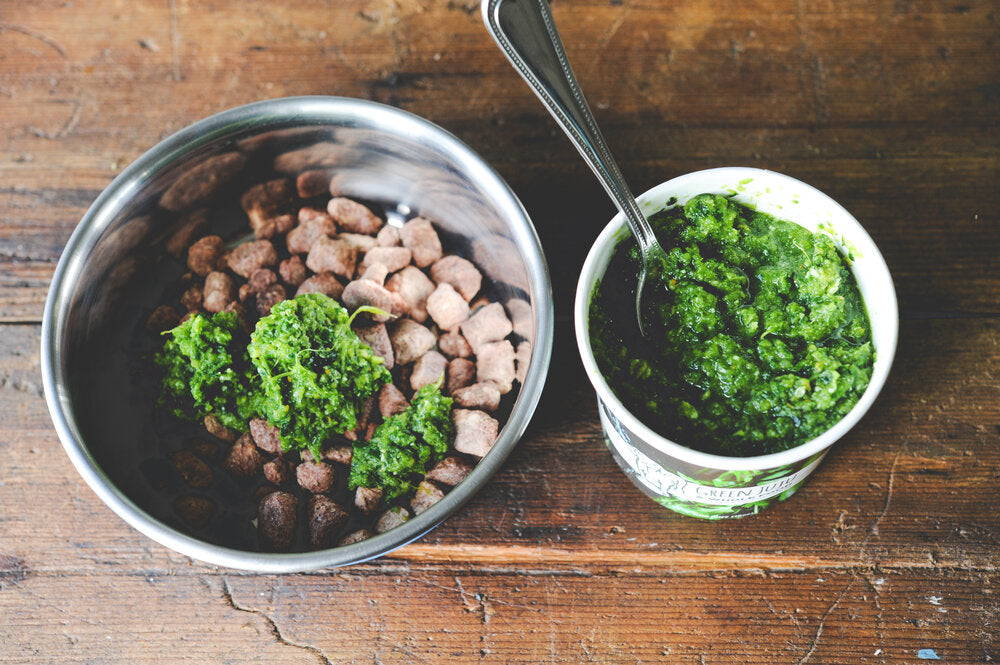 Green Juju Bailey&#39;s Blend Frozen Dog Supplement