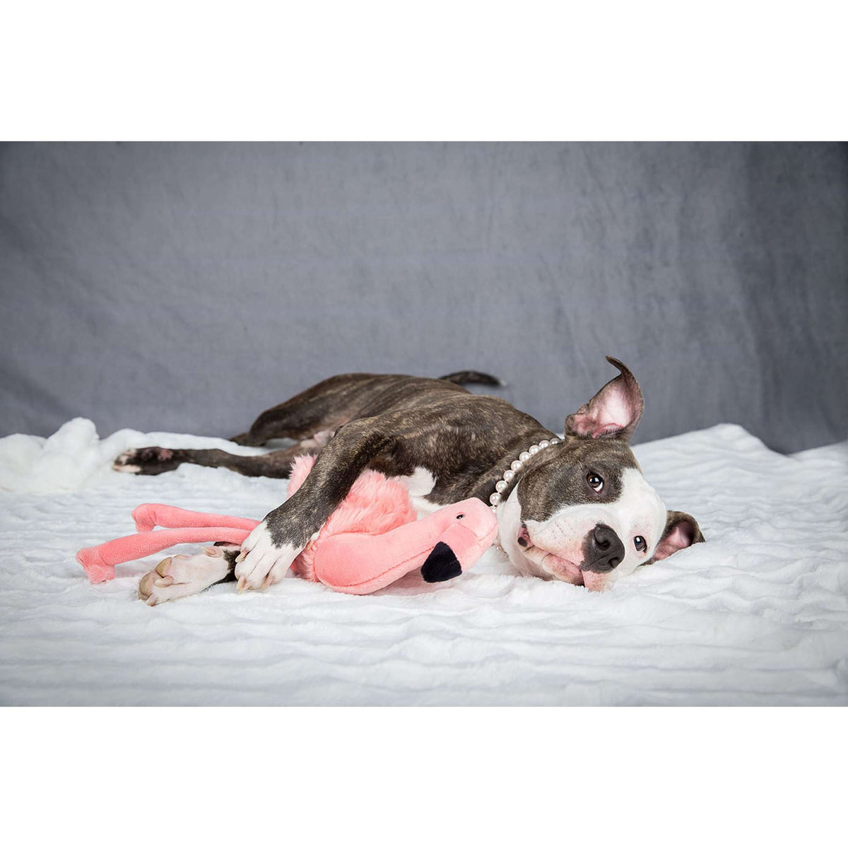 Fluff &amp; Tuff Lola Flamingo Dog Toy