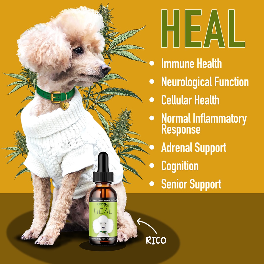 CBD Dog Health HEAL CBD Oil for Dogs