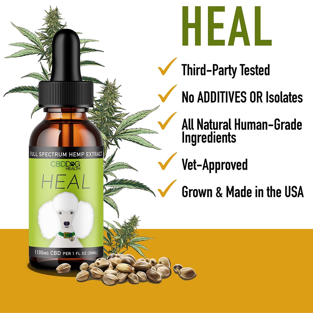 CBD Dog Health HEAL CBD Oil for Dogs