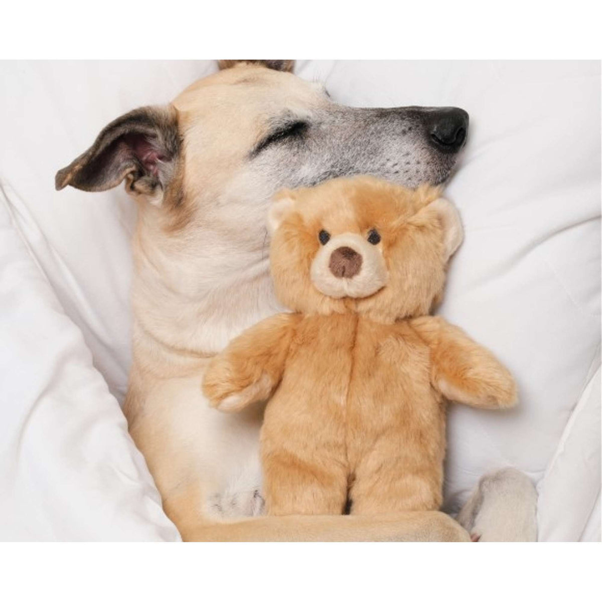 Fluff &amp; Tuff Mr. Honey Bear Dog Toy
