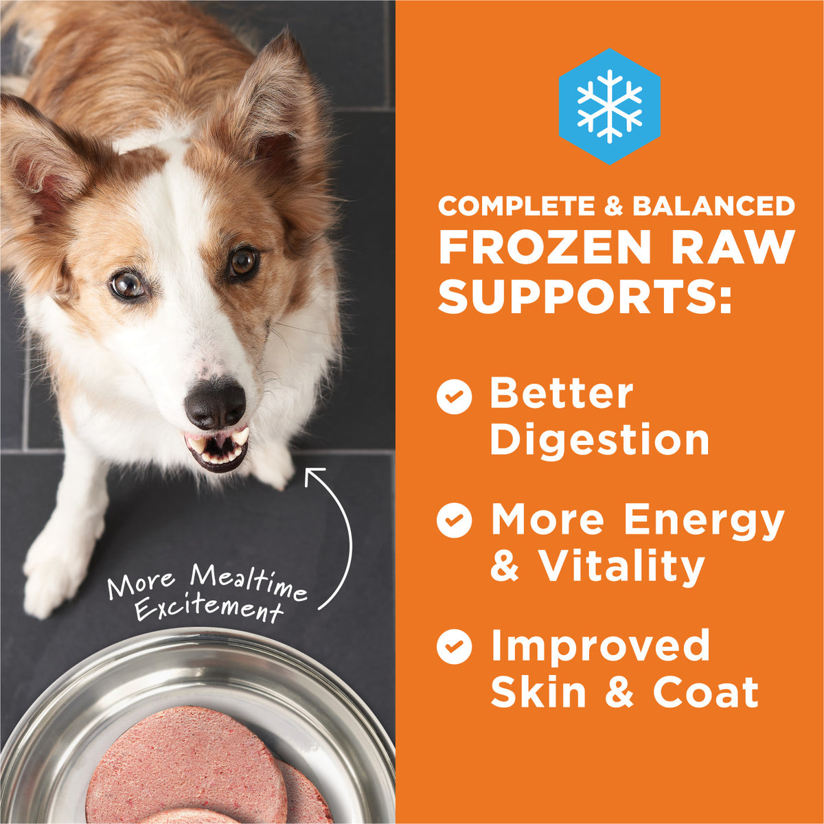 Instinct Frozen Raw Patties Grain-Free Real Beef Recipe Dog Food