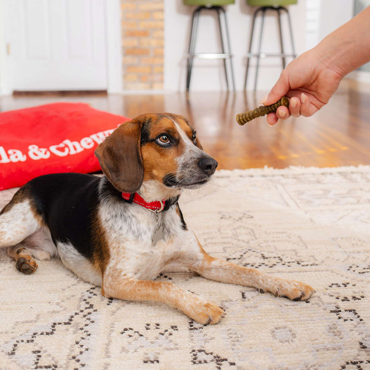 Stella &amp; Chewy&#39;s Dental Delights Small Dog Chews