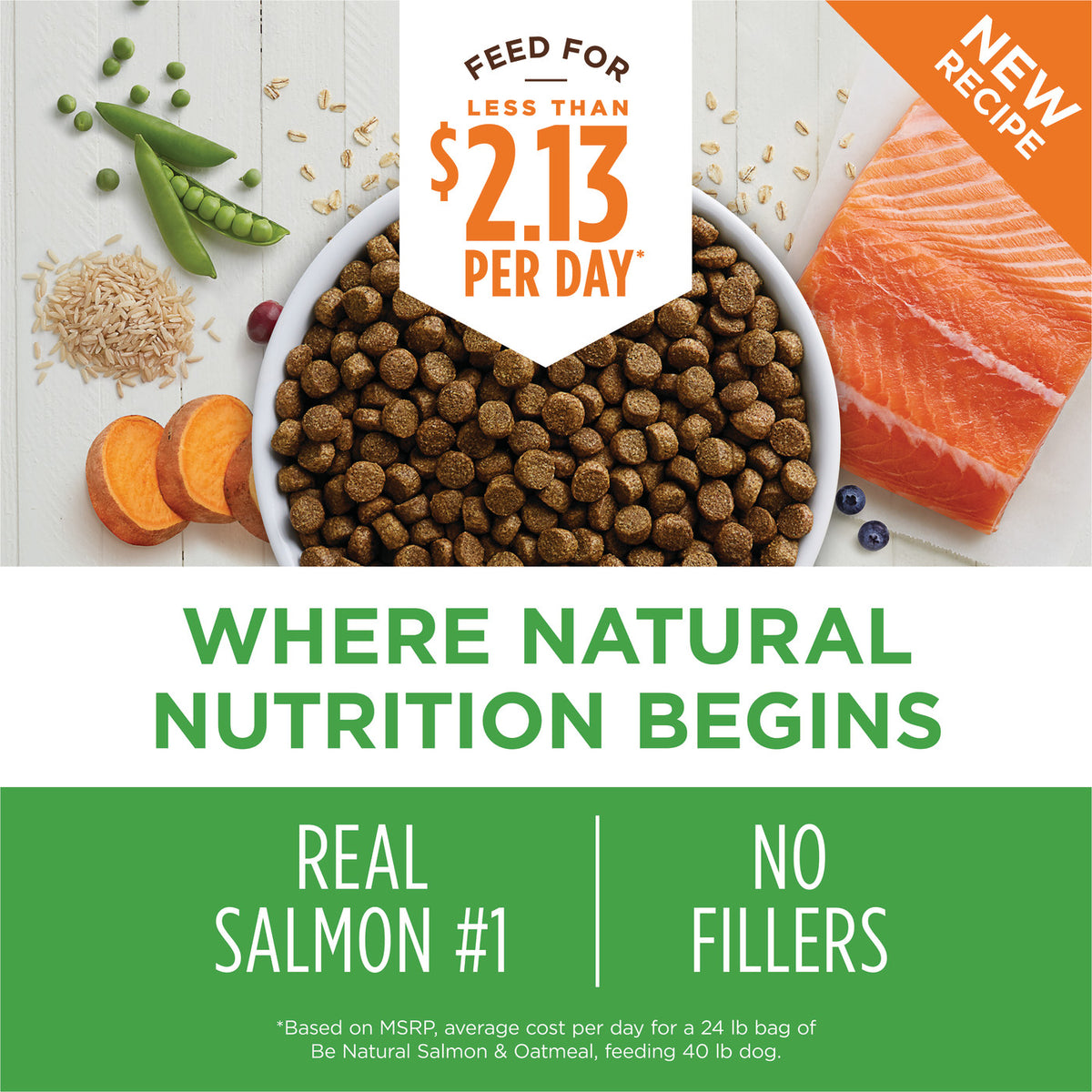 Instinct Be Natural Real Salmon &amp; Brown Rice Recipe Dry Dog Food