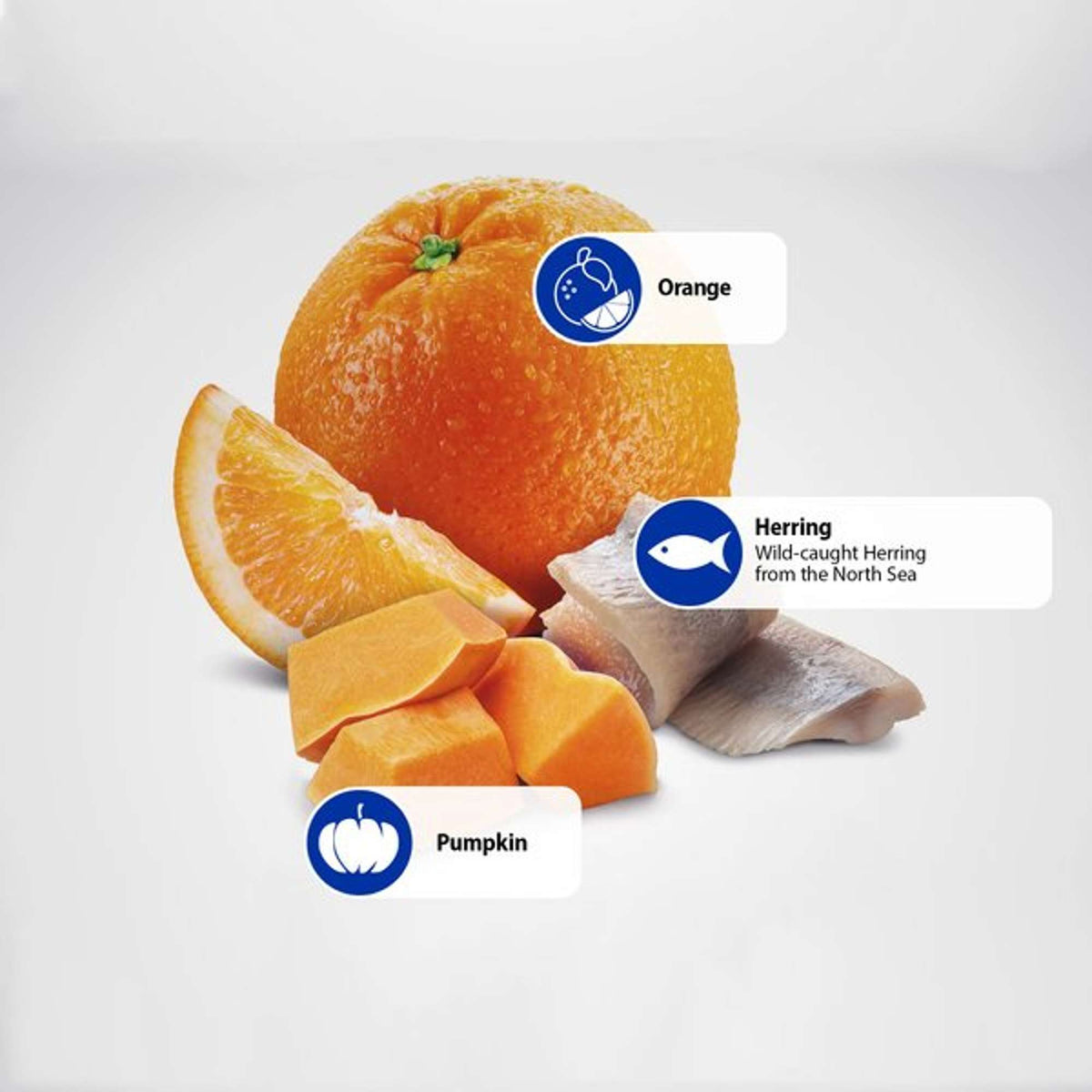 Farmina N&D Ocean Grain Free Herring, Pumpkin & Orange Cat Food