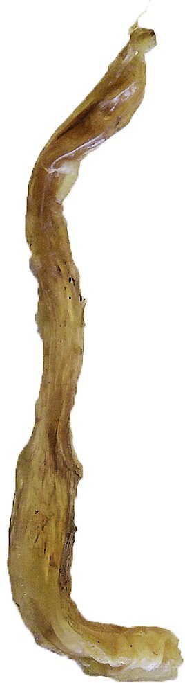 Nature&#39;s Logic Beef Tendon Canine Dog Treats