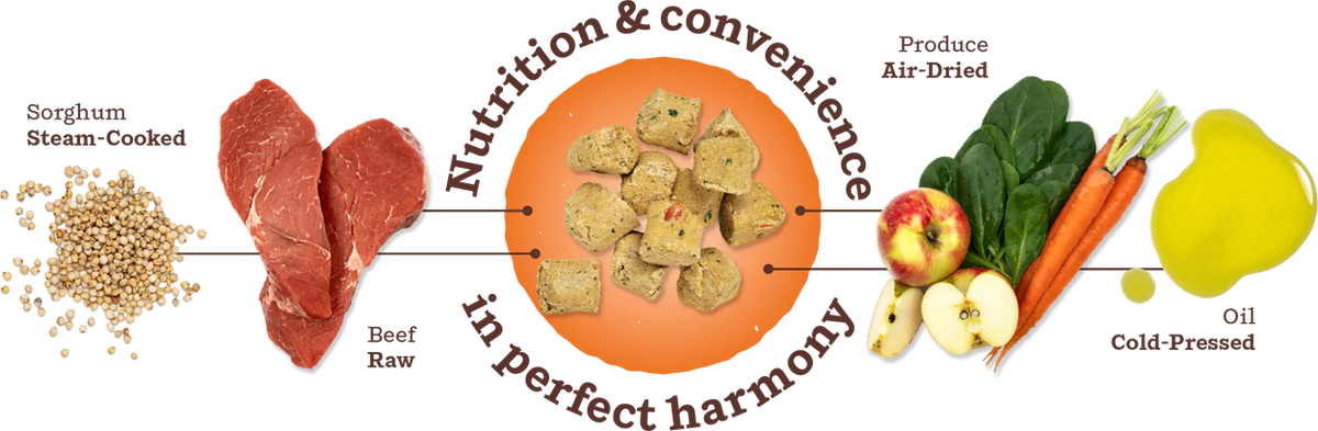 Primal Kibble in the Raw Freeze-Dried Raw Beef Dog Food