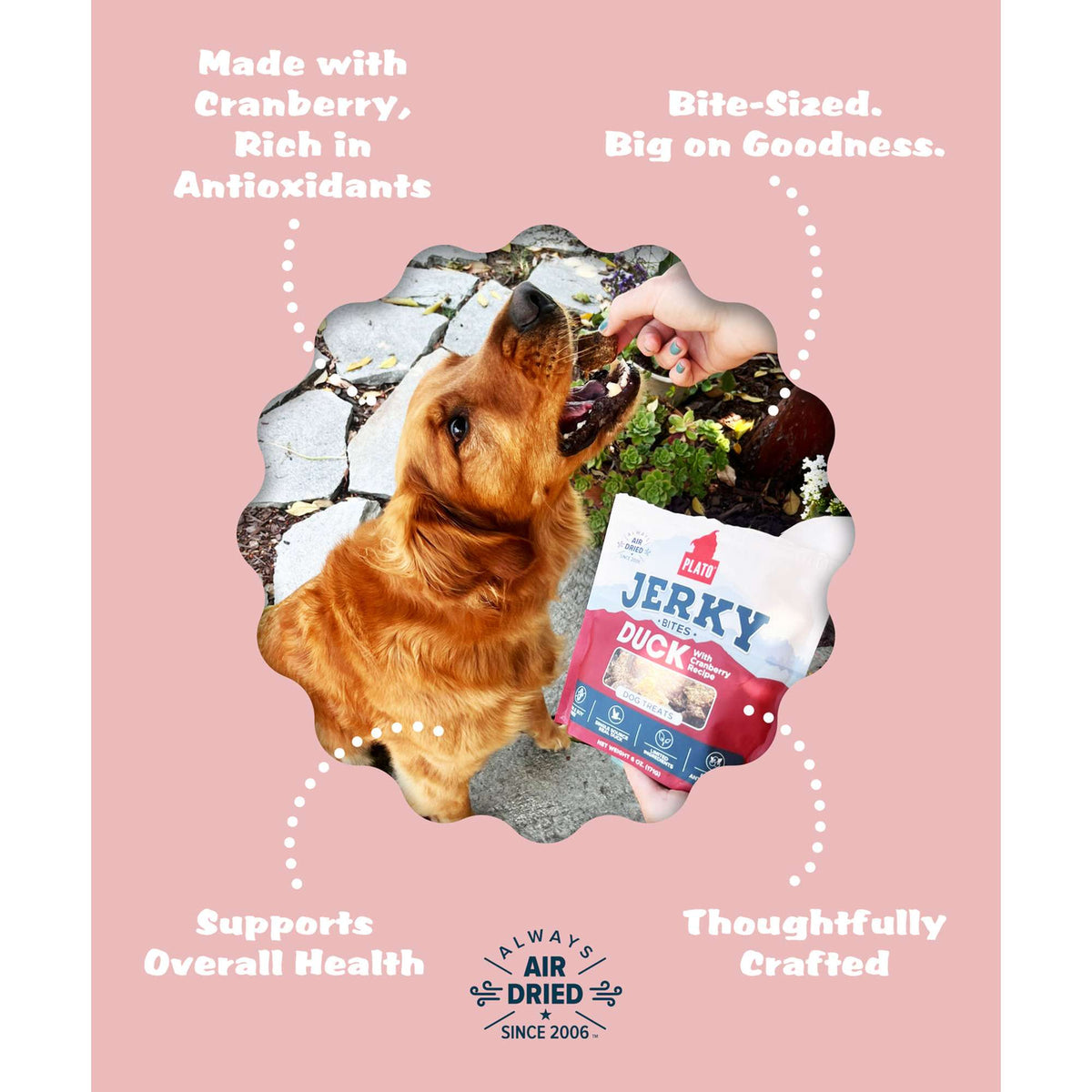 Plato Pet Treats Jerky Bites Duck with Cranberry Dog Treats