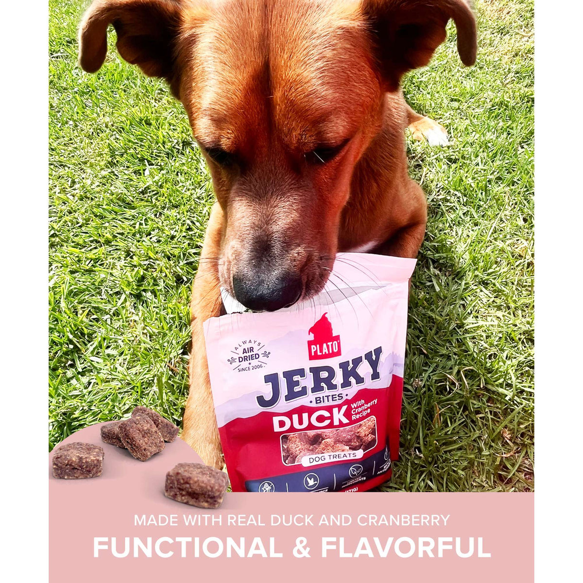 Plato Pet Treats Jerky Bites Duck with Cranberry Dog Treats