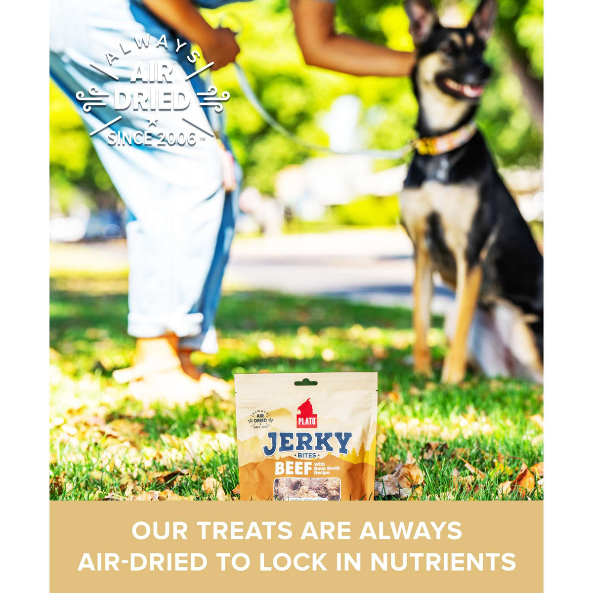 Plato Pet Treats Jerky Bites Beef with Bone Broth Dog Treats