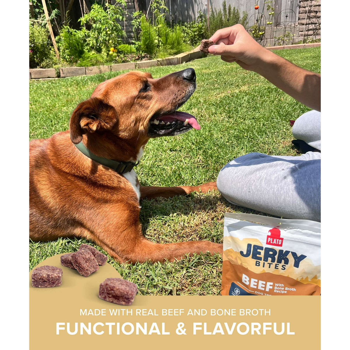 Plato Pet Treats Jerky Bites Beef with Bone Broth Dog Treats