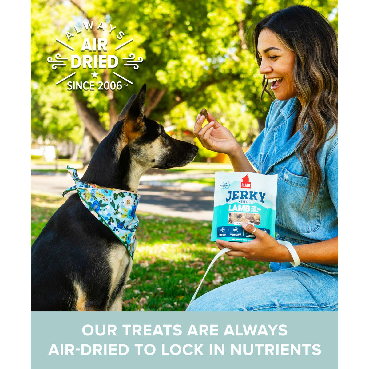 Plato Pet Treats Jerky Bites Lamb with Goat Milk Dog Treats