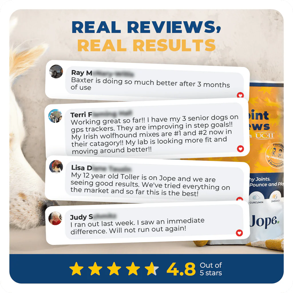 Jope Hip &amp; Joint Dog Chews