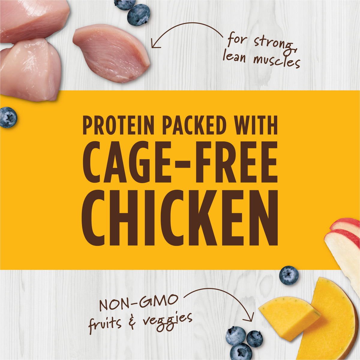 Instinct Freeze-Dried Raw Boost Mixers Grain-Free Chicken Recipe Freeze-Dried Cat Food Topper