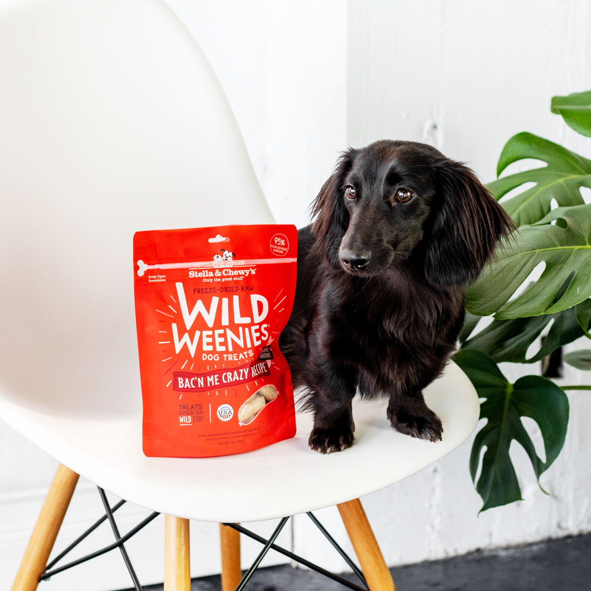Stella &amp; Chewy&#39;s Freeze-Dried Raw Wild Weenies Bac&#39;n Me Crazy Dog Treats