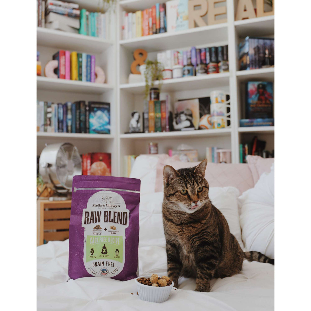 Stella &amp; Chewy&#39;s Kibble Raw Blend Cage Free Chicken Cat Food