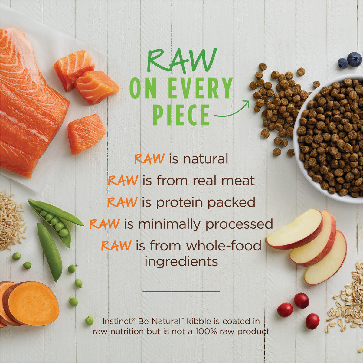 Instinct Be Natural Real Salmon &amp; Brown Rice Recipe Dry Dog Food