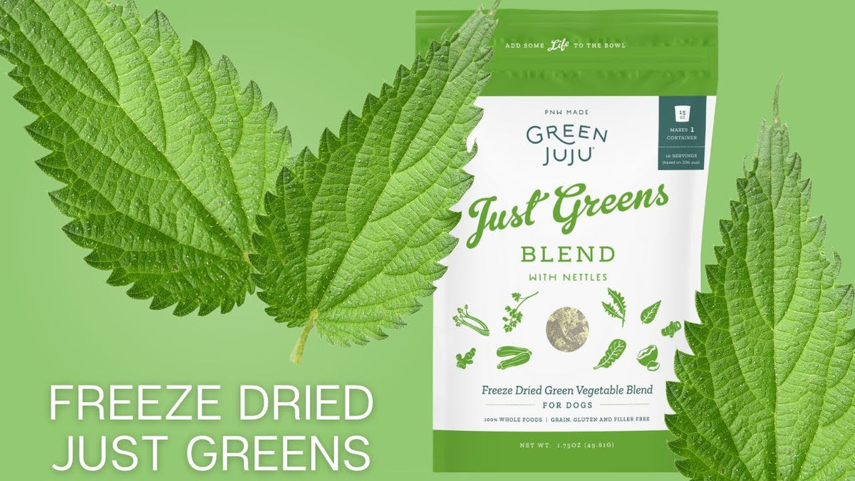 Green Juju Freeze-Dried Just Greens Dog Supplement