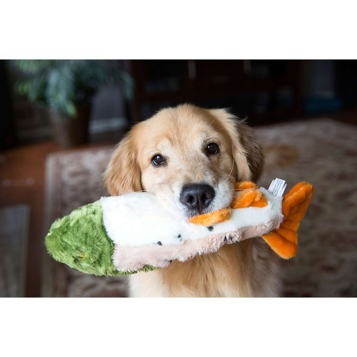 Fluff &amp; Tuff Ruby Rainbow Trout Dog Toy