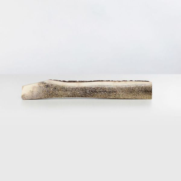 Primal Stag Antler Dog Chew