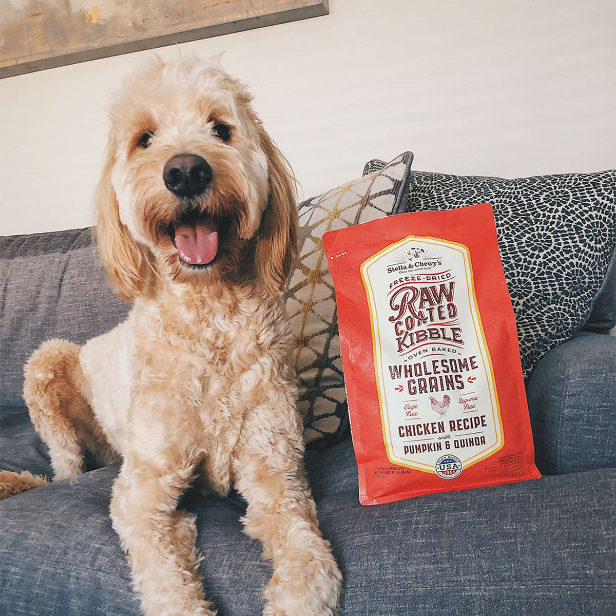 Stella &amp; Chewy&#39;s Kibble Raw Coated Wholesome Grains Chicken Dog Food
