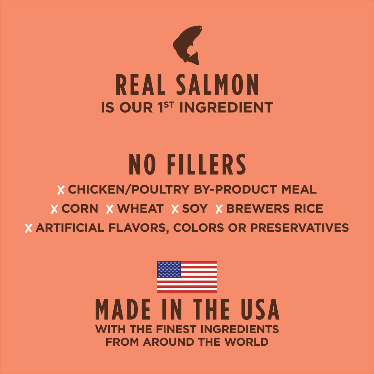 Instinct Be Natural Real Salmon &amp; Brown Rice Recipe Dry Dog Food