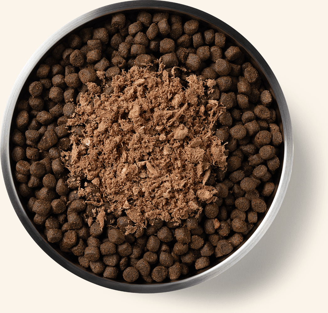 Vital Essentials Freeze-Dried Raw Protein-Mix In Ground Turkey Dog Meal Topper