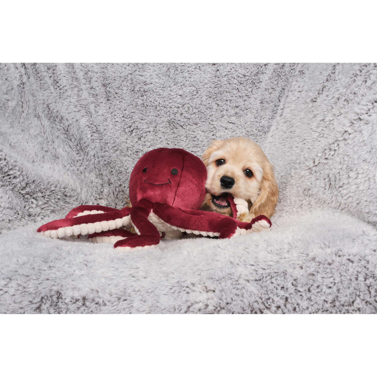 Fluff &amp; Tuff Olympia Octopus Dog Toy