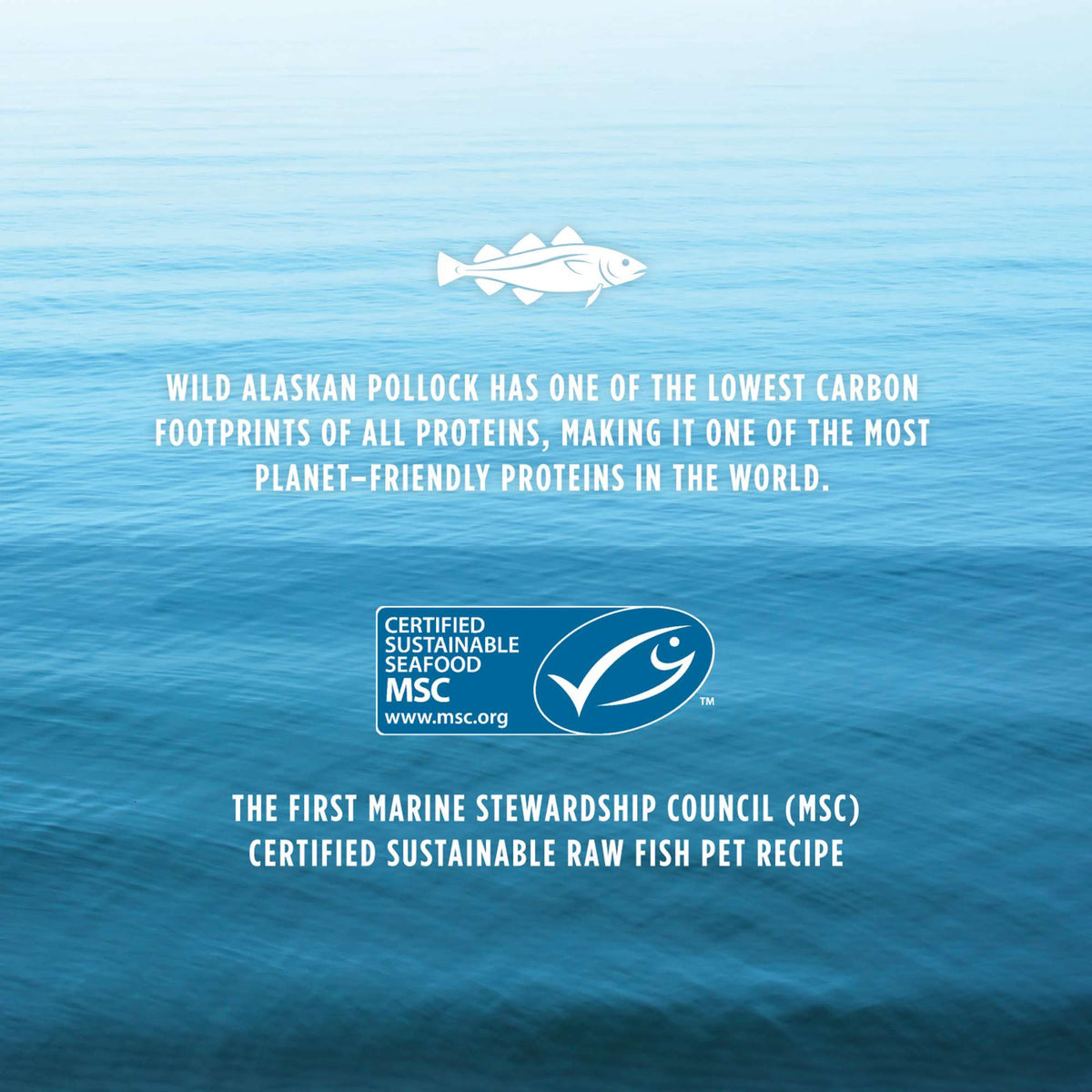 Instinct® Raw Longevity™ Raw Frozen Meals Wild-Caught Alaskan Pollock Recipe for Dogs