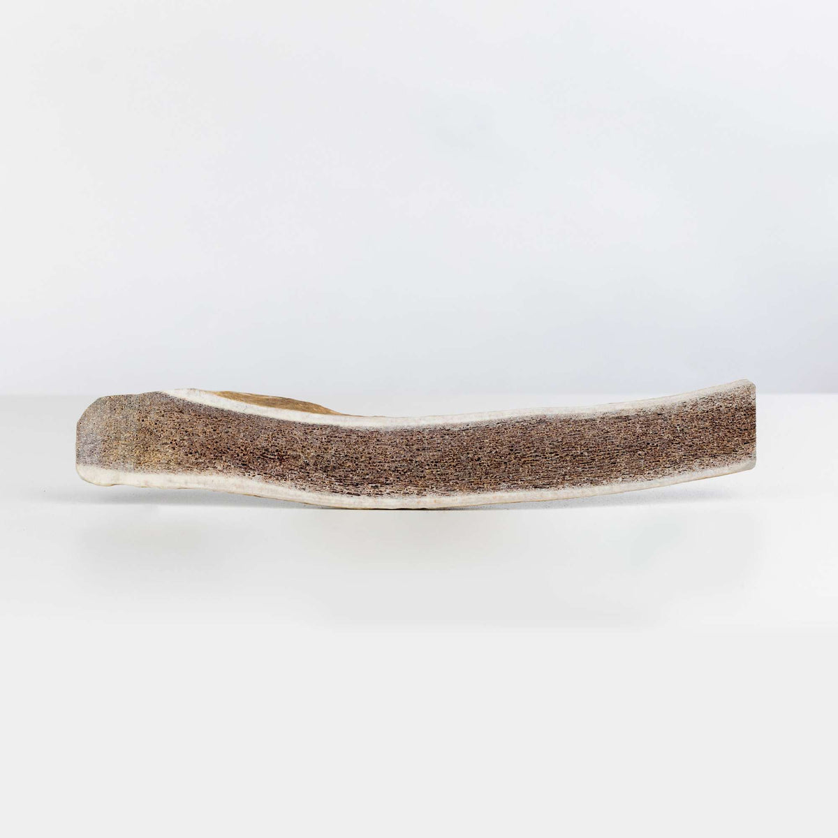 Primal Split Elk Antler Dog Chew