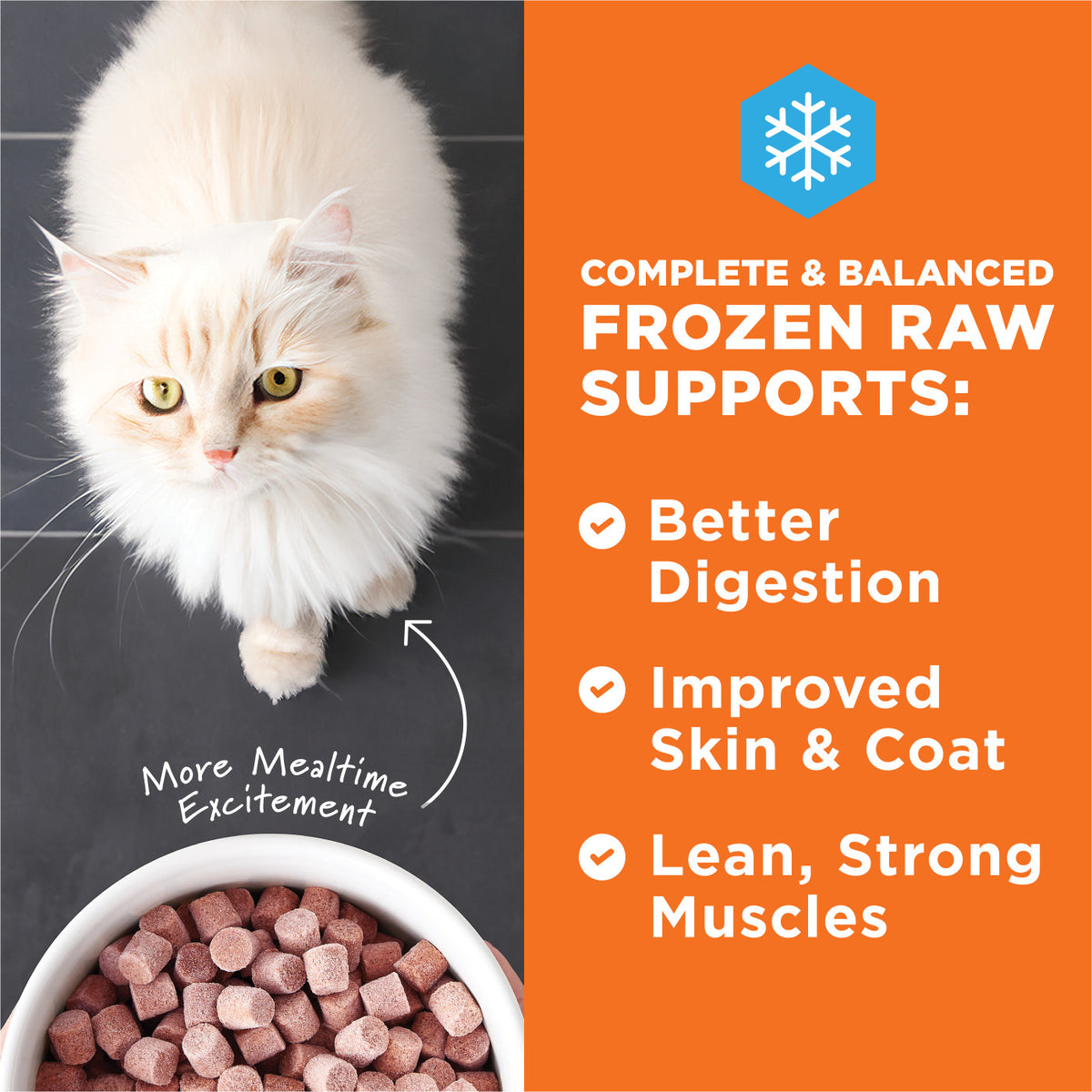 Instinct Frozen Raw Bites Grain-Free Cage-Free Chicken Recipe Cat Food